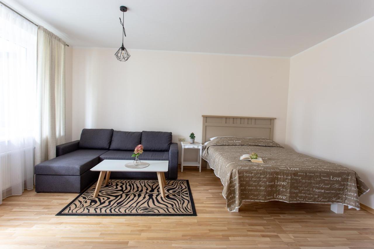 Violetos Lux Apartamentai2 Друскінінкай Екстер'єр фото